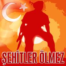 şehit çocuklarına ücretsiz ehliyet